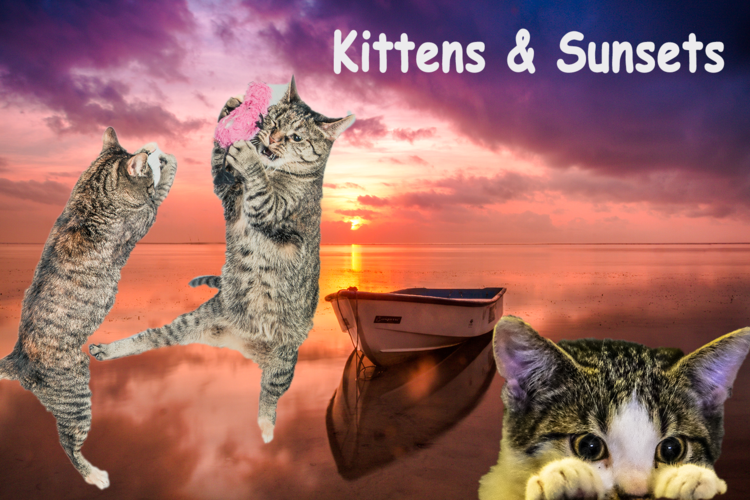 Kittens and Sunsets